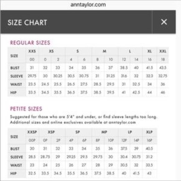 ❤️ANN TAYLOR PURPLE PERIWINKLE FLOWER PRINT ANKLE PANTS BUSINESS CASUAL EUC Sz 4 - Picture 4 of 4